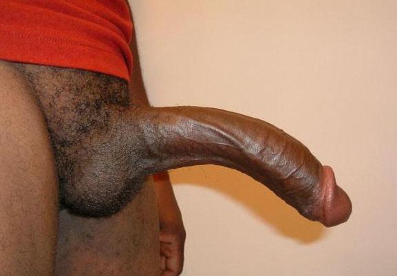 11 inch Black Cock