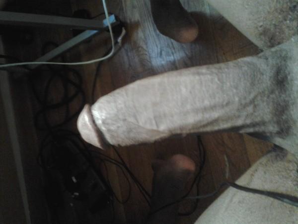 Big black cock looking 04