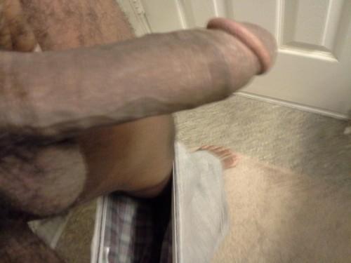 black bull with huge dick